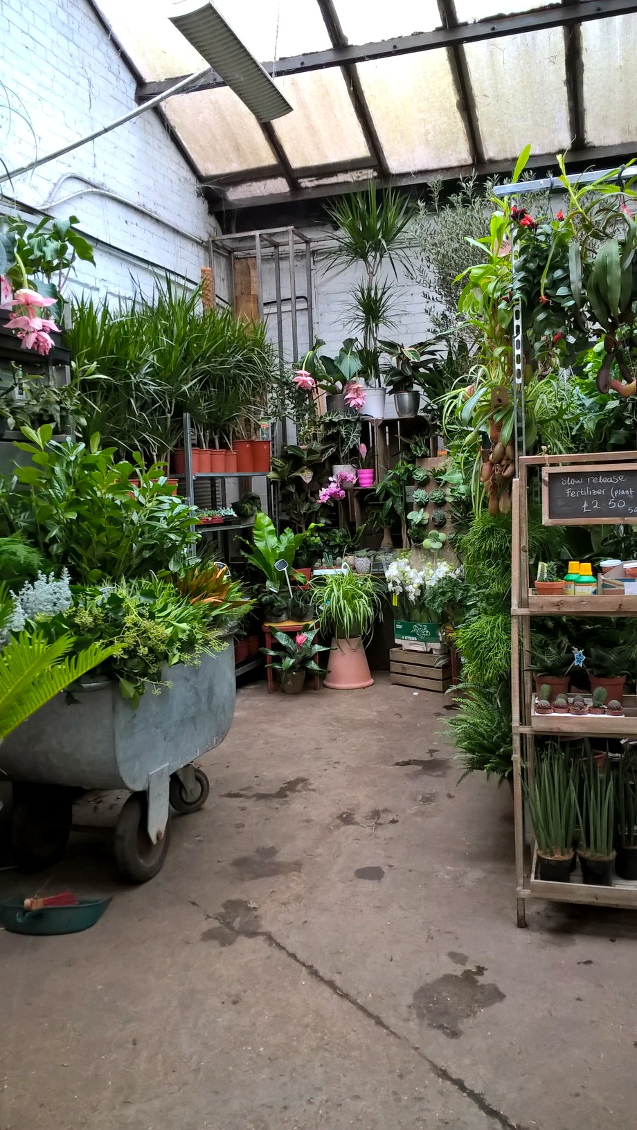 wp_20161017_13_41_46_pro