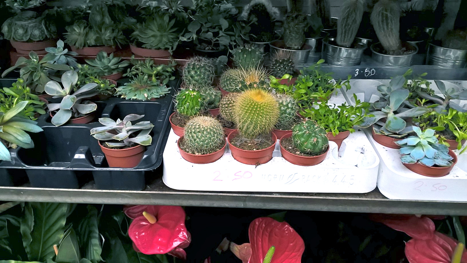 wp_20161017_13_42_44_pro