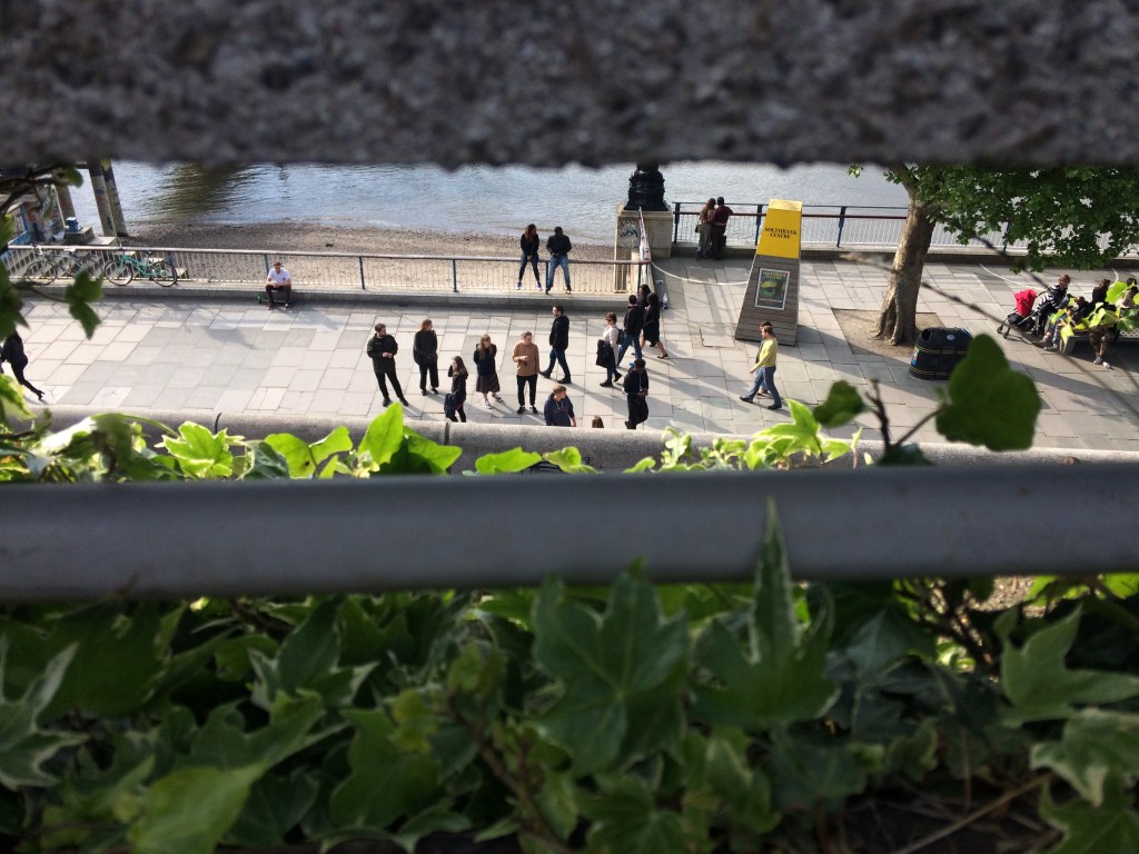 Summer is… Surviving with&nbsp;Psychosis