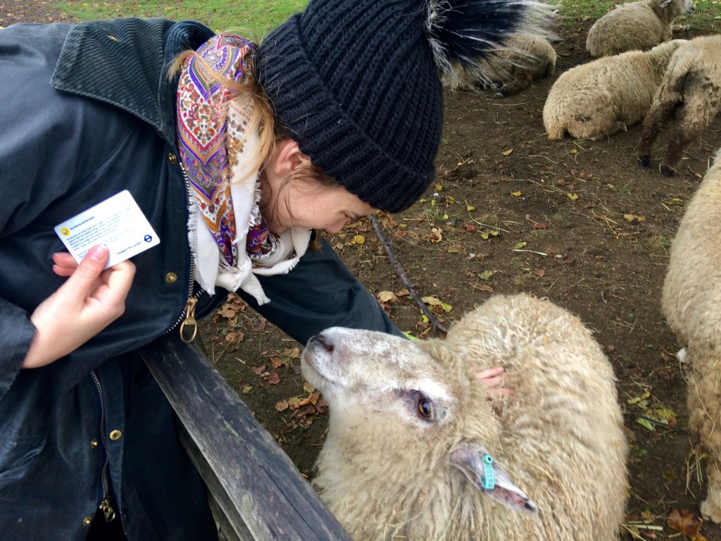 A New Year in London: Cute Critters, Unusual World War II Relics & The Perfect Riverside&nbsp;Pub