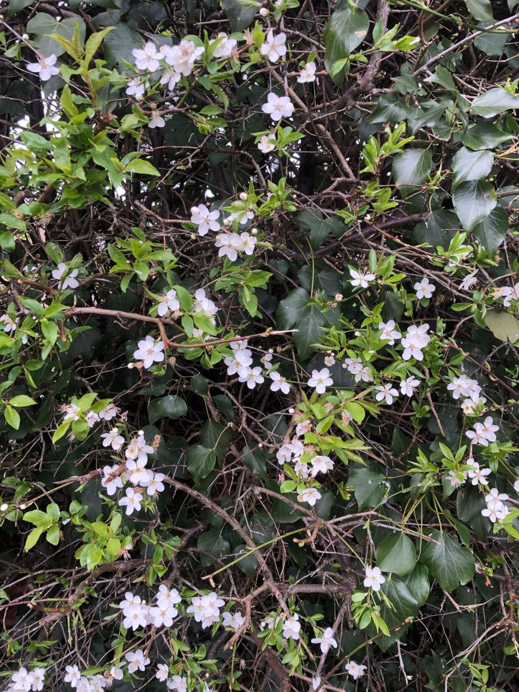 The Spring I Got Clean And&nbsp;Awake